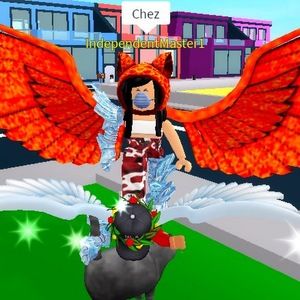 Meet your Posher, Willow